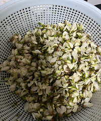 �������ʣ������Ի���������΢΢��~