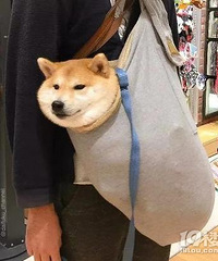 2�껹����˵��զ��