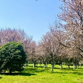 ���Ƽ���ĩ���޺õط�