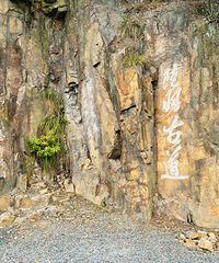 ����ͽ������½��ŵ�