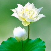 �����ĺ���Ҫ