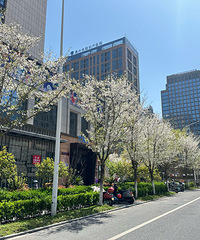 83�꺣��Ůʿ ������� �з��г� �Ը��º� �Ȱ�����