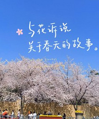 �Ĺ�·��ӣ����ĺû����̫Ư���ˣ�