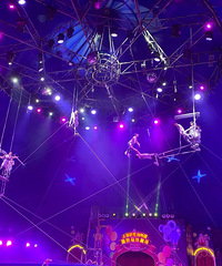 �����ӿ���С���￴����Ϸ�ŷǳ��� ����Ҳ��ϲ���۸�Ҳ����