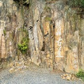 ����ͽ������½��ŵ�