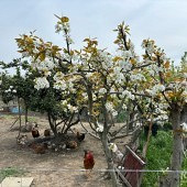 ����Խ��Խ��ѧУզ��