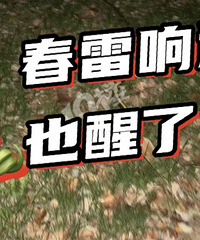 С���﷢�ֵġ���