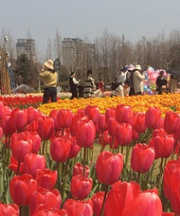 85������Ů �׸�ͬ�����һ��