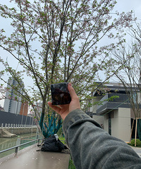 �ÿ�23����24���� �긴һ��ĵ��� �ý��ǰ�