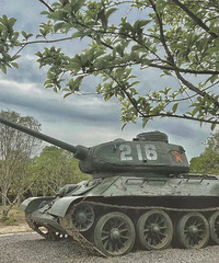 �����׿ƾ���԰ �Ǽ�����������Ψһ��ʡ�������������أ�