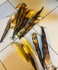 [�����]���ش��������� ������ʮ���ҳ���~