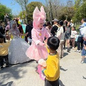 �����С������Ŷ�