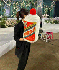 �����ֳ�������ö����ģ������޾޺ÿ�