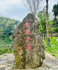 ����ͽ���������һ����ȫ��3����� ���ʺ����ֺ�����