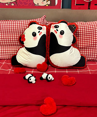 �Ϲ�̫��ѡ�ˣ��ù�����è��ѹ������