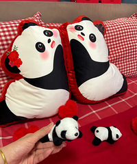 �Ϲ�̫��ѡ�ˣ��ù�����è��ѹ������