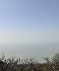 ����ͽ�������׶�ɽ���ʺ��޻�����