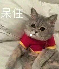 ���ό�ǣ�����ƫ��2.2�� ������ò��ô�