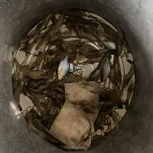 ����ժҰ��ץСϺ