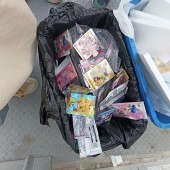 ���ڵ�С������Ǯ