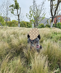 ������һ��ȥ�������̵� ������������԰ ���廹����