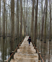 �༶���ί����֯��ȥ�����ٰ���ɽ�� �о�ûɶ��ͷ...