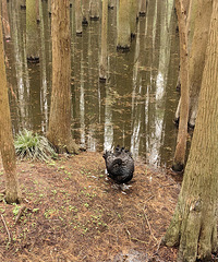 �༶���ί����֯��ȥ�����ٰ���ɽ�� �о�ûɶ��ͷ...