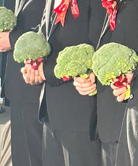 ��������������������������