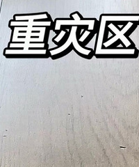 ����ʲô��� ľ�ذ���ô������