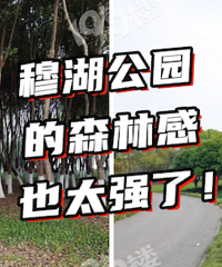 ȥ���� ���䣡