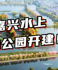 Ч��ͼ��������