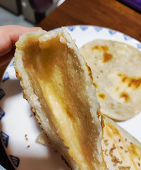 ���Ƶİ����ձ�����ϧС���ѻ��ǲ����ԡ���