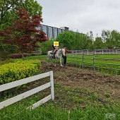 һ�����������ޱ���