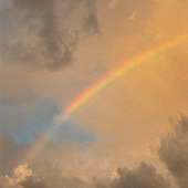 ���鲻�������ſ���