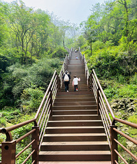 ����ͽ������ѩ���ŵ� ����5km �ʺ����Ӽ�����