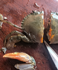 ���ƺ����� ����һֻ��������з ��С�Ƶ���ͦ��Ҳͦ������