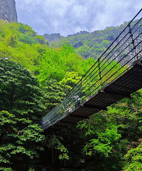 ����·�ߣ�����ͽ������Ϫ�ڣ�ȫ��������̶��������