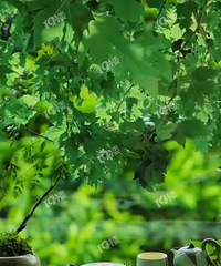 ϳԿ ϸıԼ ˺ѵõı