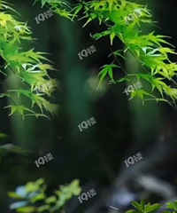 ϳԿ ϸıԼ ˺ѵõı