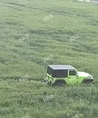 ����һԽҰ��������������ѹ�ϰ��ף��������³������»�Ӧ��