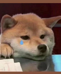 �����Ů��ͻȻ�������Ժ������Ӳ���� ���ͬ����