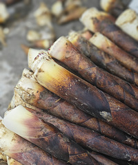 �����޶� ��������������� ���ܵ�׬Ǯ���ף�