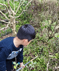 �����޶� ��������������� ���ܵ�׬Ǯ���ף�