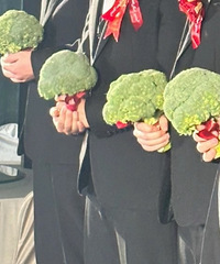 ������������������������ ��=�� ��Ҷ�����