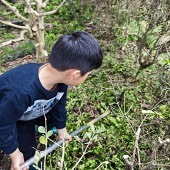 ���ް���������