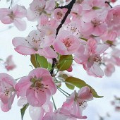 ���̺���˵������