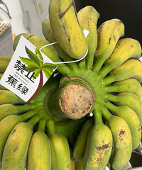 办公室超火的禁止蕉绿装饰摆件!50块拿下值吗?