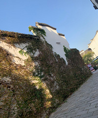 ����������÷����