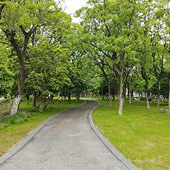 ��������������кܺ�