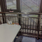 ���ͼ��ݴ�������